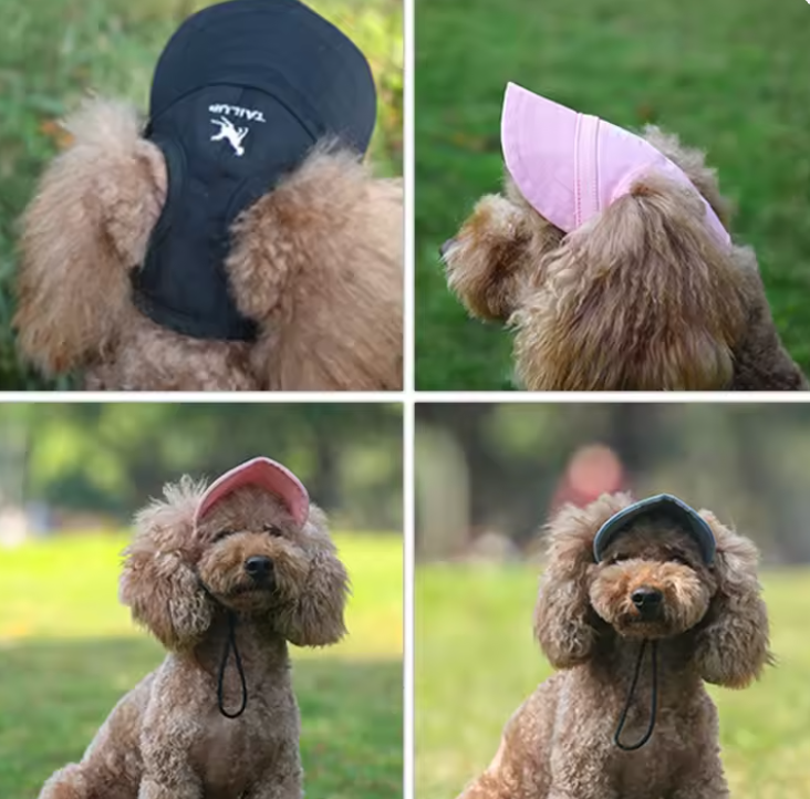 Wagly™ Pets Hat