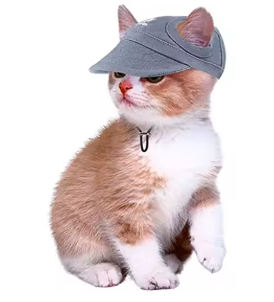 Wagly™ Pets Hat