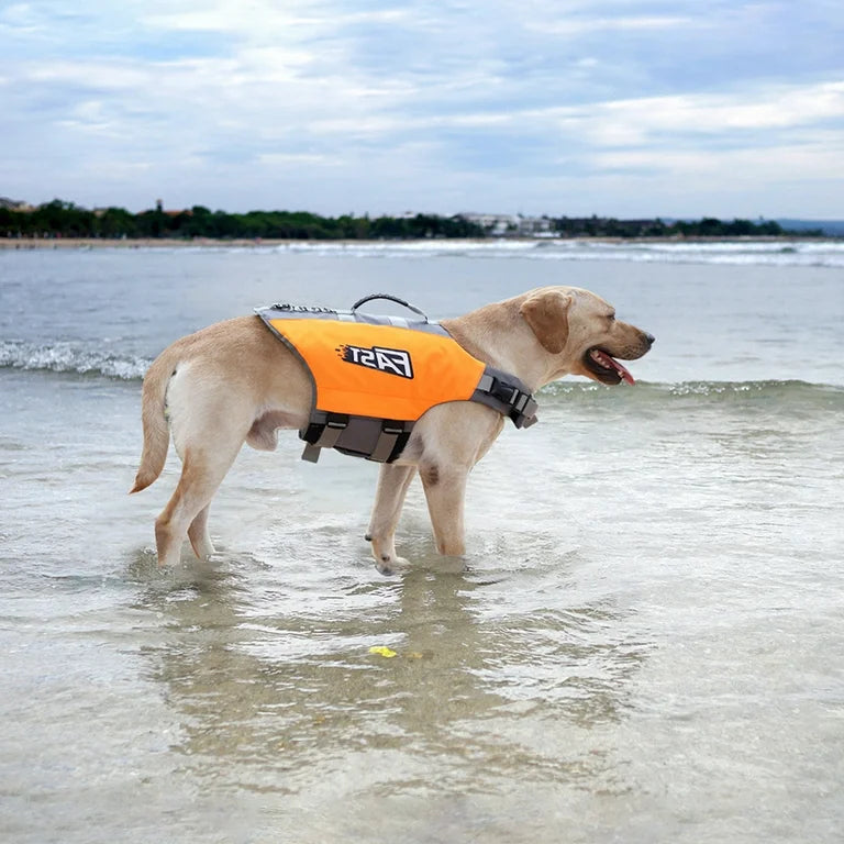 Wagly™ Dog Life Jacket – Premium Safety Vest for Swimming & Boating