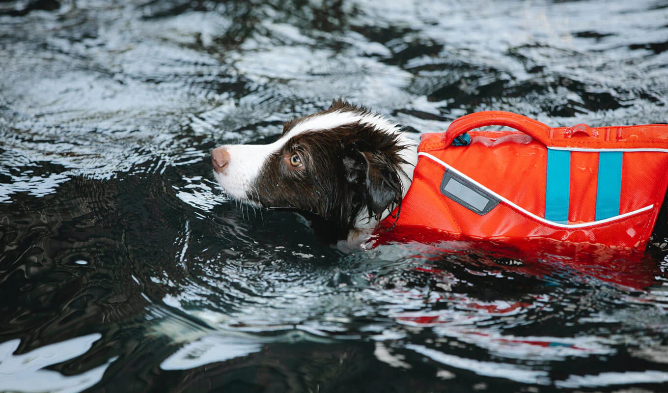 Wagly™ Dog Life Jacket – Premium Safety Vest for Swimming & Boating