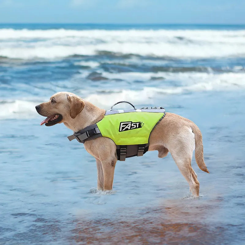 Wagly™ Dog Life Jacket – Premium Safety Vest for Swimming & Boating